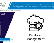 Business Compass LLC database management services with 5-star customer rating
